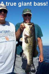 stick marsh fishing reports