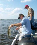 stick marsh fishing reports