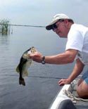 stick marsh fishing reports