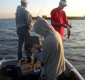 stick marsh fishing report