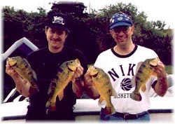 florida peacock bass, peacock bass