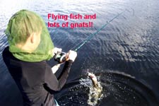 stick marsh fishing reports