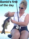 stick marsh fishing reports