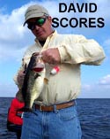 stick marsh fishing reports