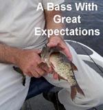 stick marsh fishing reports