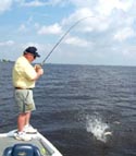 stick marsh fishing reports