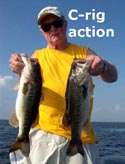 stick marsh fishing reports