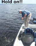 stick marsh fishing reports