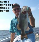 stick marsh fishing reports