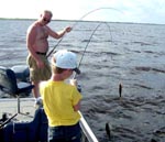 stick marsh fishing reports