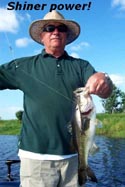 stick marsh fishing reports