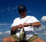 stick marsh fishing reports
