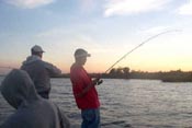 stick marsh fishing report