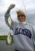 stick marsh fishing report