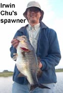 stick marsh fishing reports